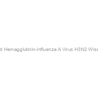 Recombinant Hemagglutinin-Influenza A Virus H3N2 Wisconsin 67/05